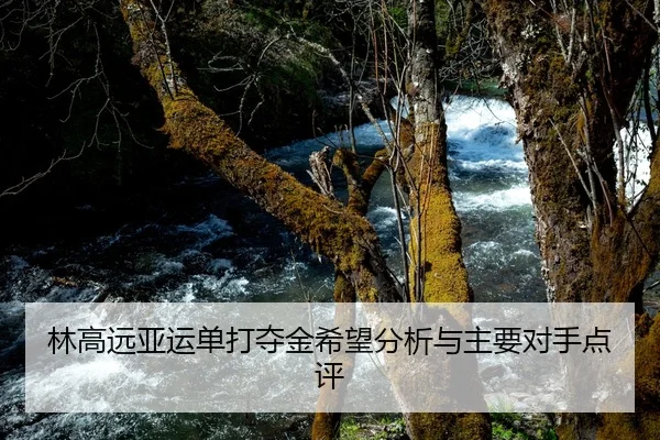 林高远亚运单打夺金希望分析与主要对手点评
